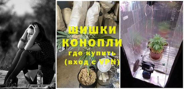 бошки Горняк