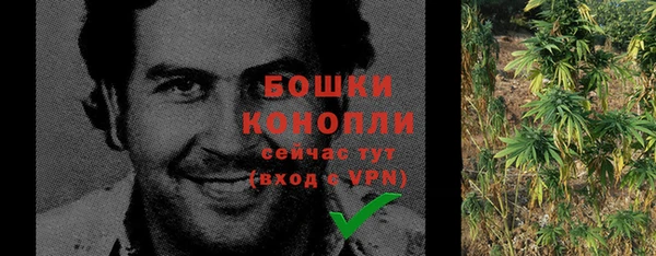 бошки Горняк