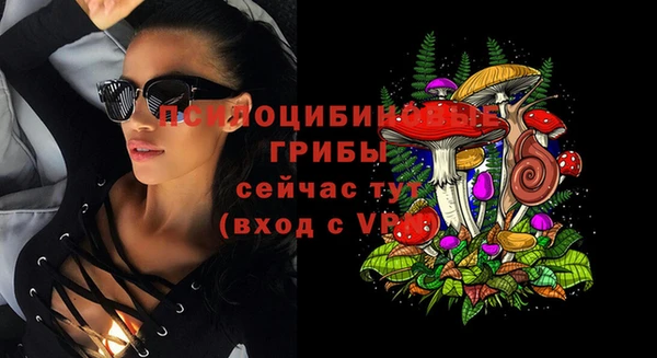 гидропоника Горно-Алтайск