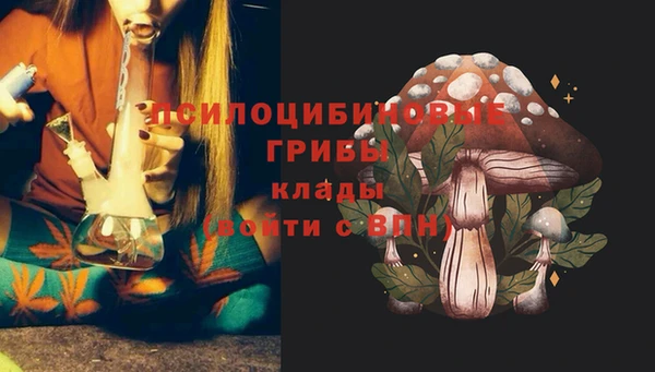 бошки Горняк