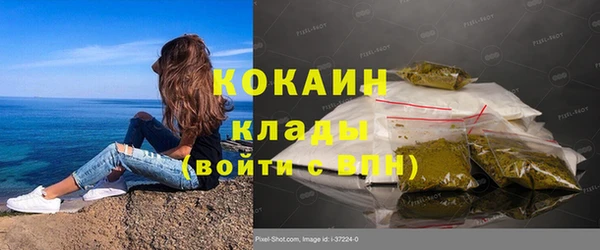 бошки Горняк